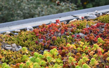 the cost of Heaste green roof installation