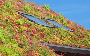 Heaste living roof systems